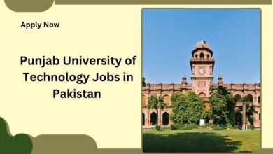 Punjab University of Technology Jobs in Pakistan