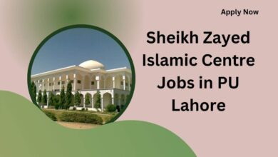 Sheikh Zayed Islamic Centre Jobs in PU Lahore