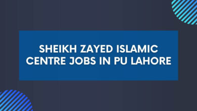 Sheikh Zayed Islamic Centre Jobs in PU Lahore