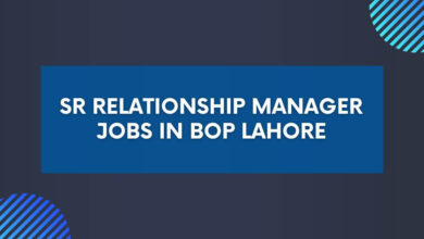 Sr Relationship Manager Jobs in BOP Lahore