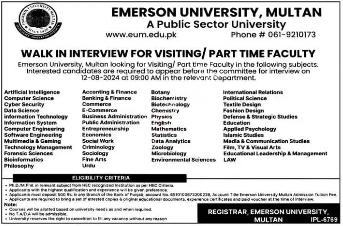 Emerson University Multan Jobs