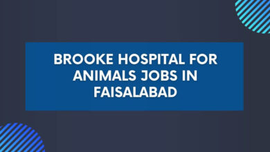 Brooke Hospital for Animals Jobs in Faisalabad