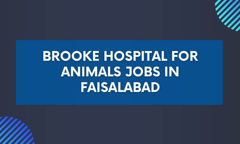 Brooke Hospital for Animals Jobs in Faisalabad