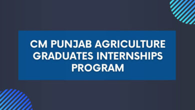 CM Punjab Agriculture Graduates Internships Program