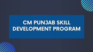 CM Punjab Skill Development Program