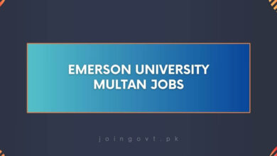 Emerson University Multan Jobs