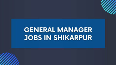 General Manager Jobs in Shikarpur