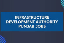 Infrastructure Development Authority Punjab Jobs
