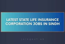 Latest State Life Insurance Corporation Jobs in Sindh
