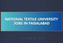 National Textile University Jobs in Faisalabad