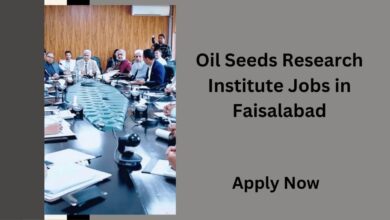 Oil Seeds Research Institute Jobs in Faisalabad