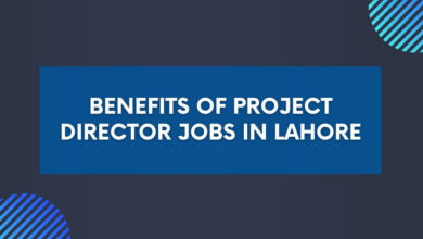 Project Director Jobs in Lahore