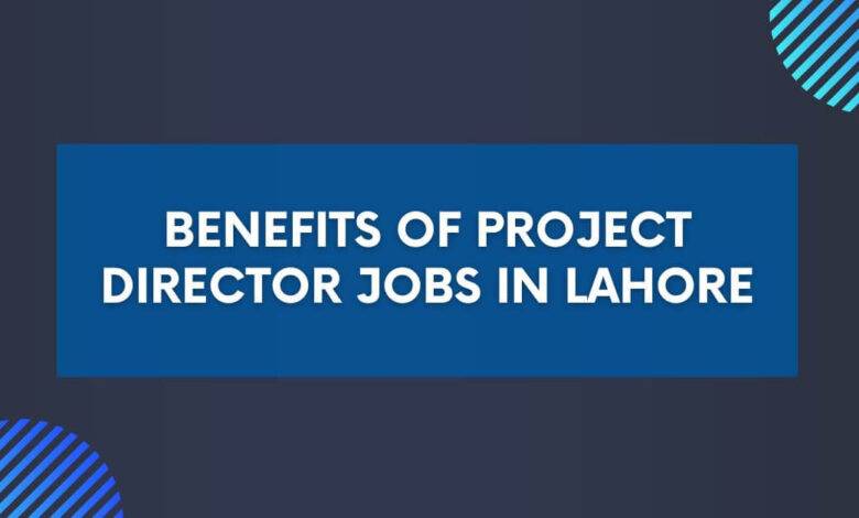 Project Director Jobs in Lahore