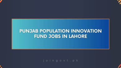 Punjab Population Innovation Fund Jobs in Lahore