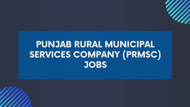 Punjab Rural Municipal Services Company (PRMSC) Jobs