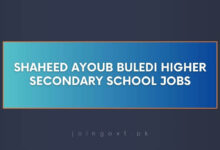 Shaheed Ayoub Buledi Higher Secondary School Jobs