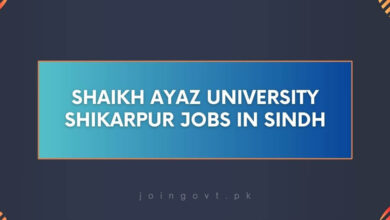 Shaikh Ayaz University Shikarpur Jobs in Sindh