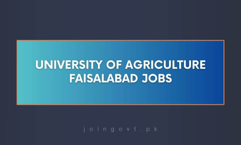 University of Agriculture Faisalabad Jobs