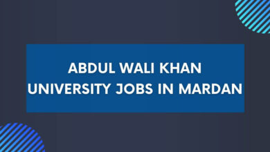 Abdul Wali Khan University Jobs in Mardan