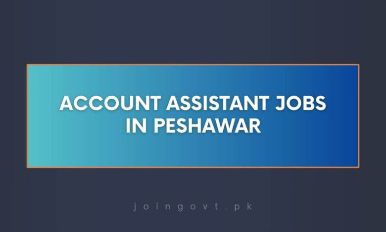 Account Assistant Jobs in Peshawar