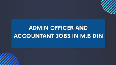 Admin Officer and Accountant Jobs in M.B Din