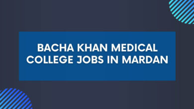 Bacha Khan Medical College Jobs in Mardan