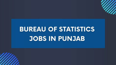 Bureau of Statistics Jobs in Punjab