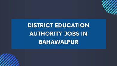 District Education Authority Jobs in Bahawalpur