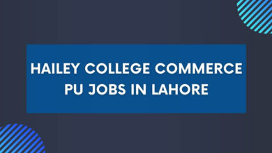 Hailey College Commerce PU Jobs in Lahore