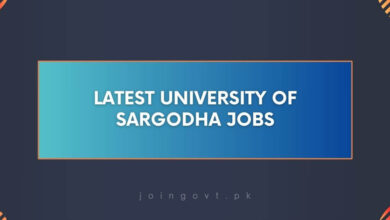 Latest University of Sargodha Jobs