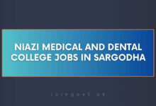 Niazi Medical and Dental College Jobs in Sargodha