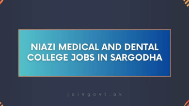 Niazi Medical and Dental College Jobs in Sargodha