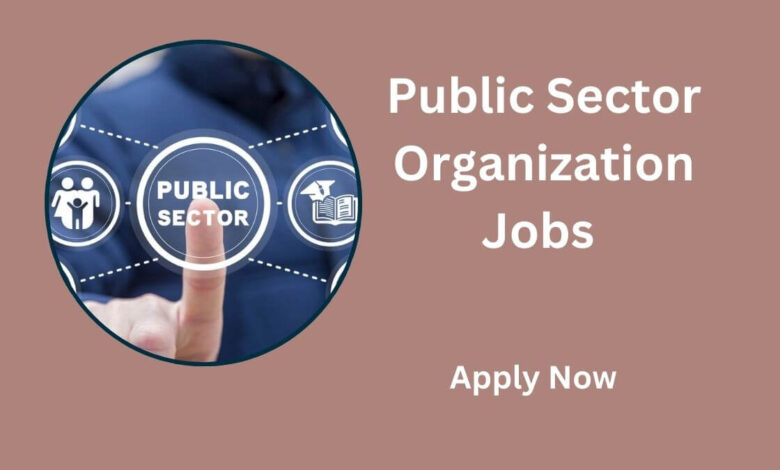 Public Sector Organization Jobs