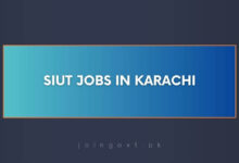 SIUT Jobs in Karachi