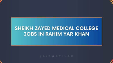 Sheikh Zayed Medical College Jobs in Rahim Yar Khan