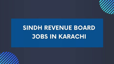 Sindh Revenue Board Jobs in Karachi