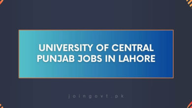 University of Central Punjab Jobs in Lahore