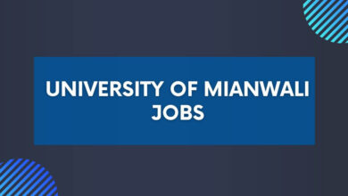 University of Mianwali Jobs