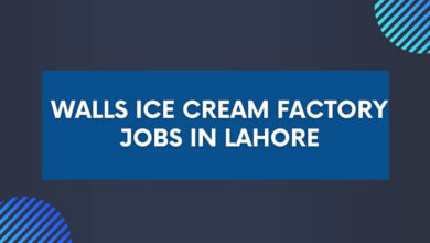 Walls Ice Cream Factory Jobs in Lahore