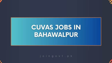 CUVAS Jobs in Bahawalpur