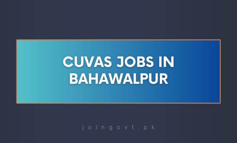 CUVAS Jobs in Bahawalpur