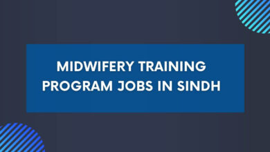 Midwifery Training Program Jobs in Sindh