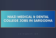 Niazi Medical & Dental College Jobs in Sargodha