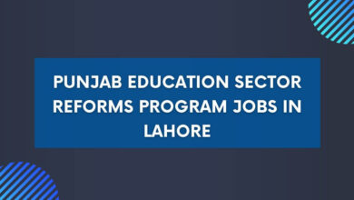 Punjab Education Sector Reforms Program Jobs in Lahore