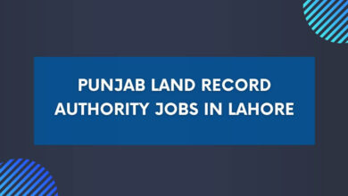 Punjab Land Record Authority Jobs in Lahore