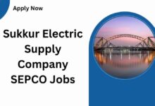 Sukkur Electric Supply Company SEPCO Jobs