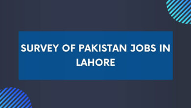 Survey of Pakistan Jobs in Lahore