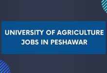 University of Agriculture Jobs in Peshawar