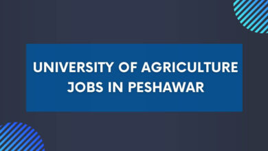 University of Agriculture Jobs in Peshawar