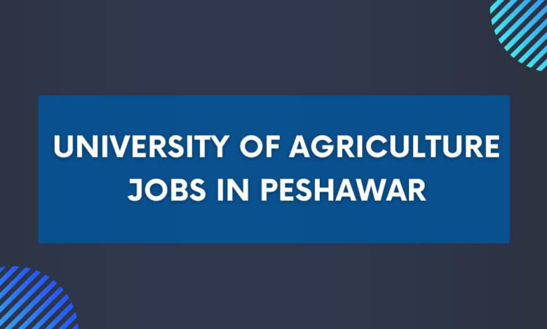 University of Agriculture Jobs in Peshawar